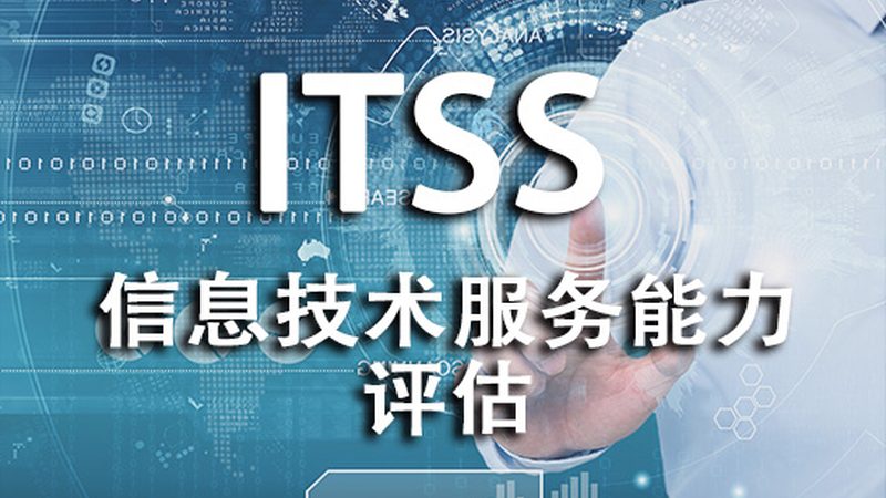 小标题：选择上海系统运维外包公司的关键因素
